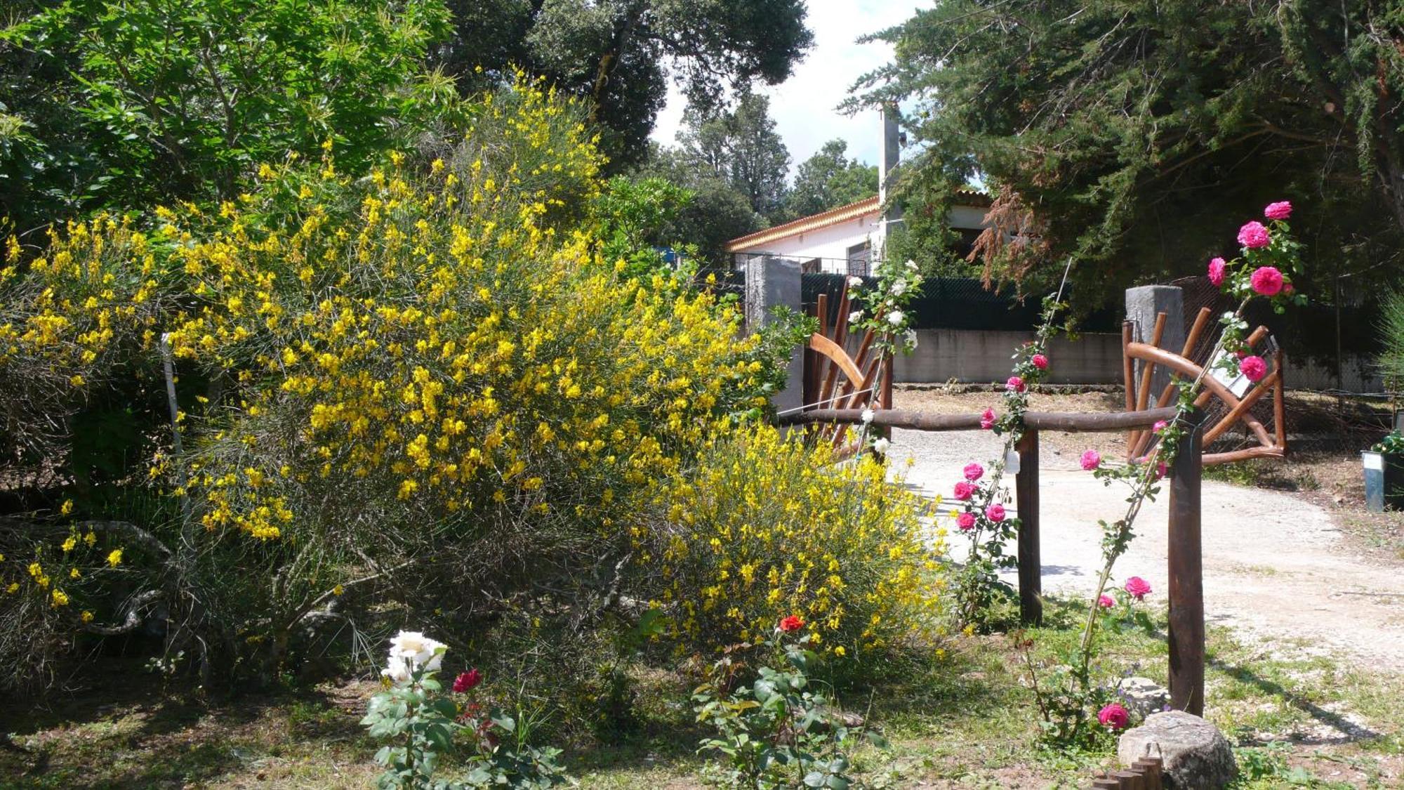 Casa Solotti
