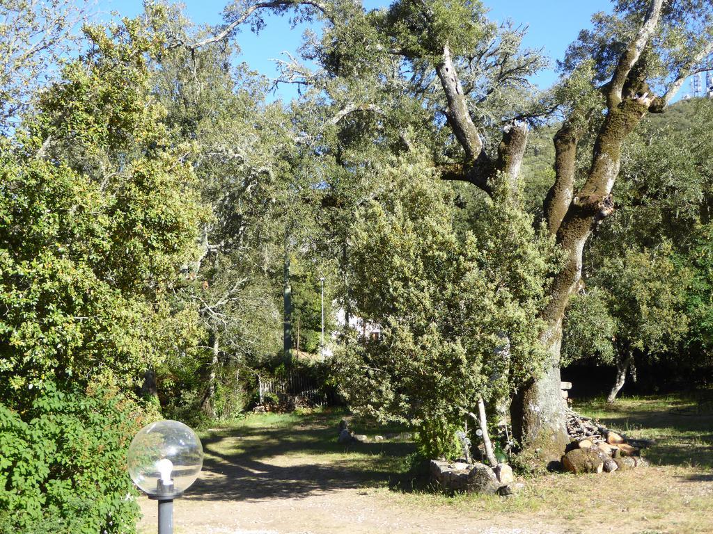 Country house Casa Solotti